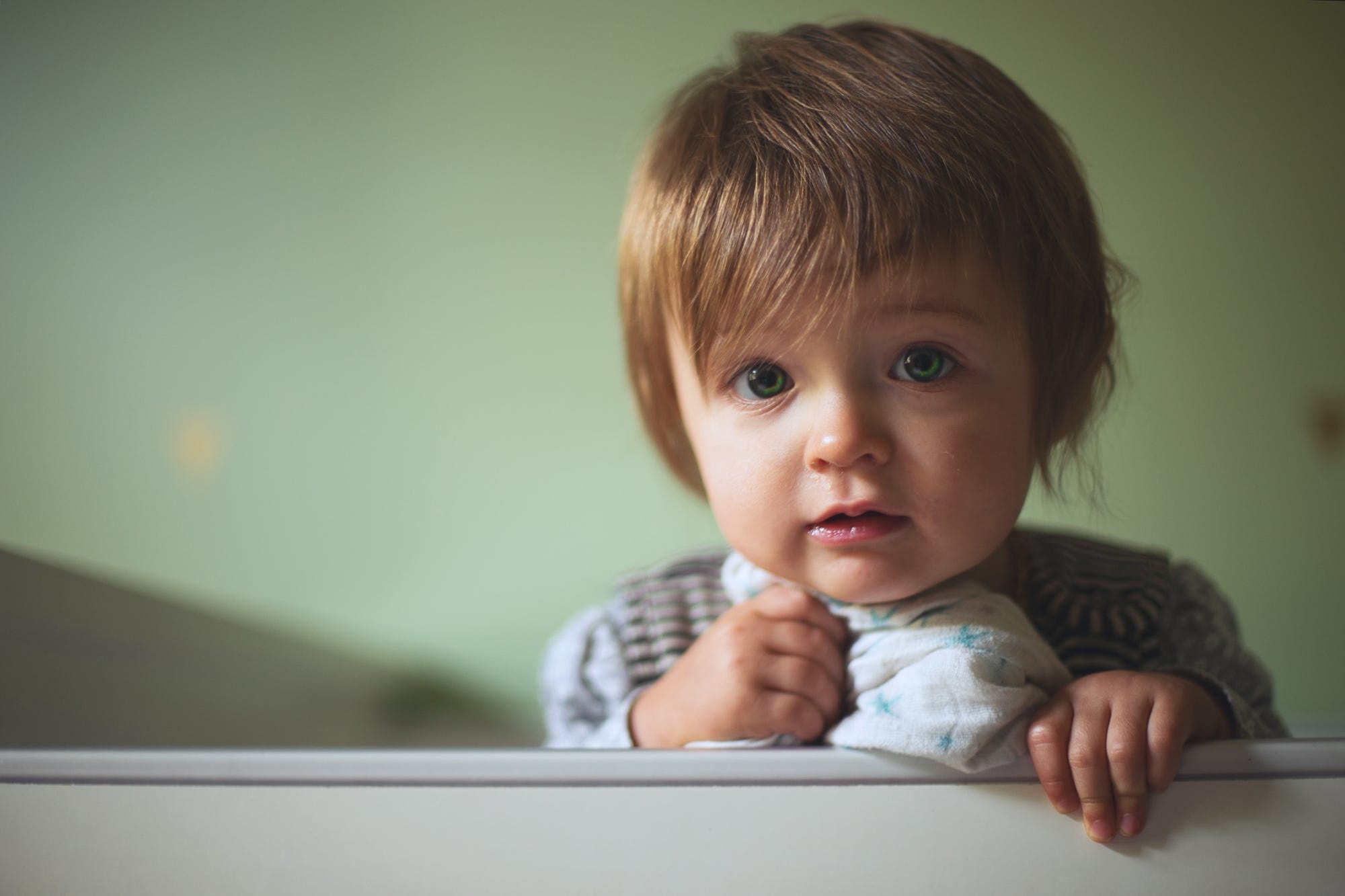 O co jde v kauze ,Dvouleté děti do mateřské školy - ANO či NE´?